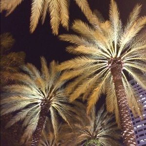 Trade with @Rockintherack 💝